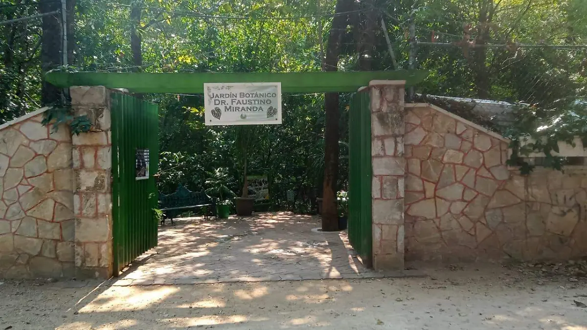 WhatsApp Image 2026-02-19 at 11.57.27 AM