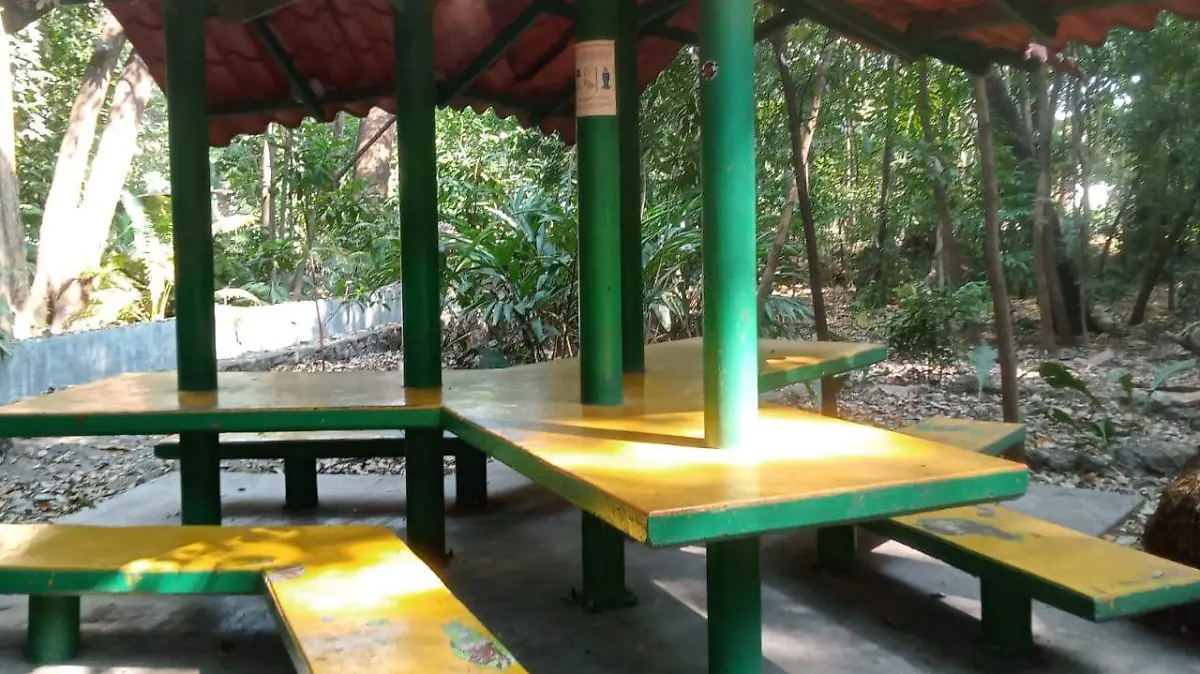JARDÍN BOTÁNICO