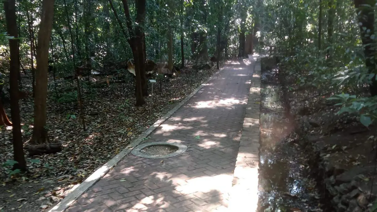 JARDÍN BOTÁNICO
