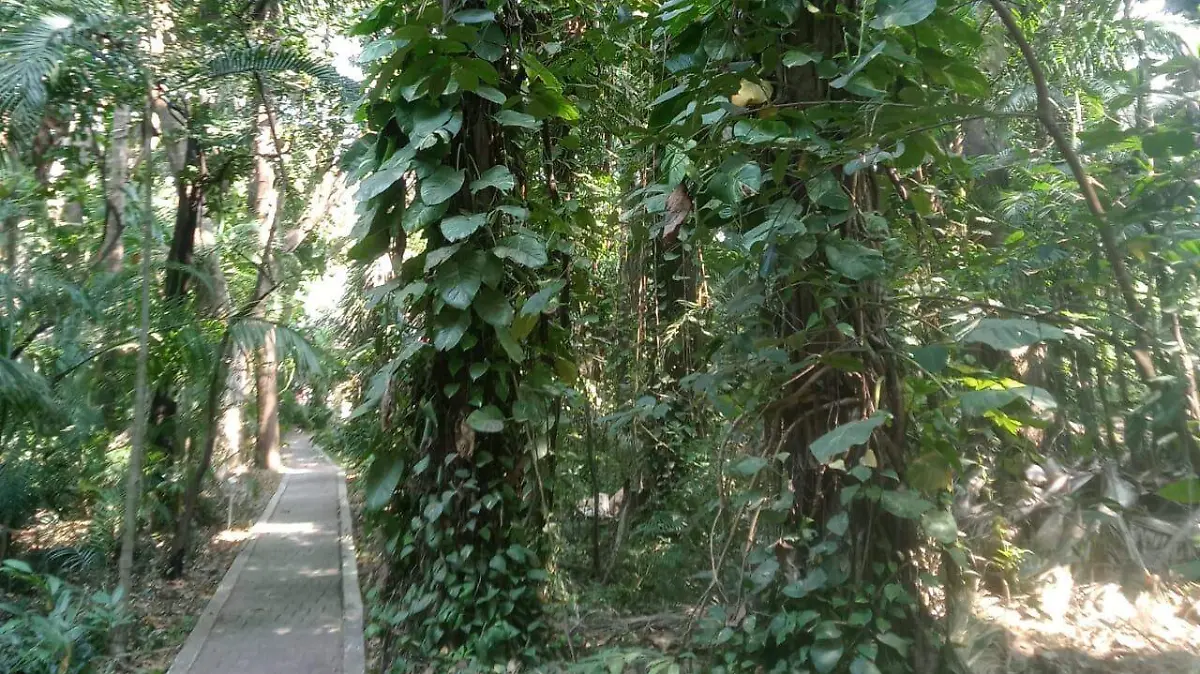 JARDÍN BOTÁNICO