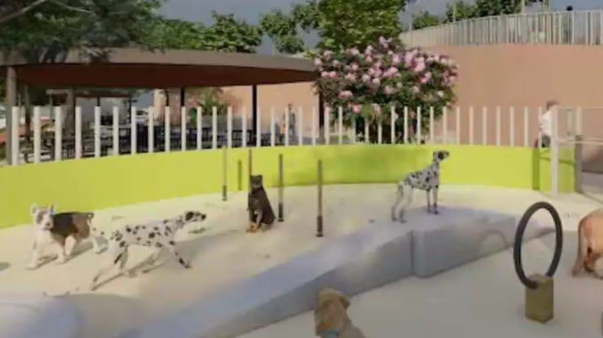 WhatsApp Image 2026-02-24 at 12.48.22 (2)