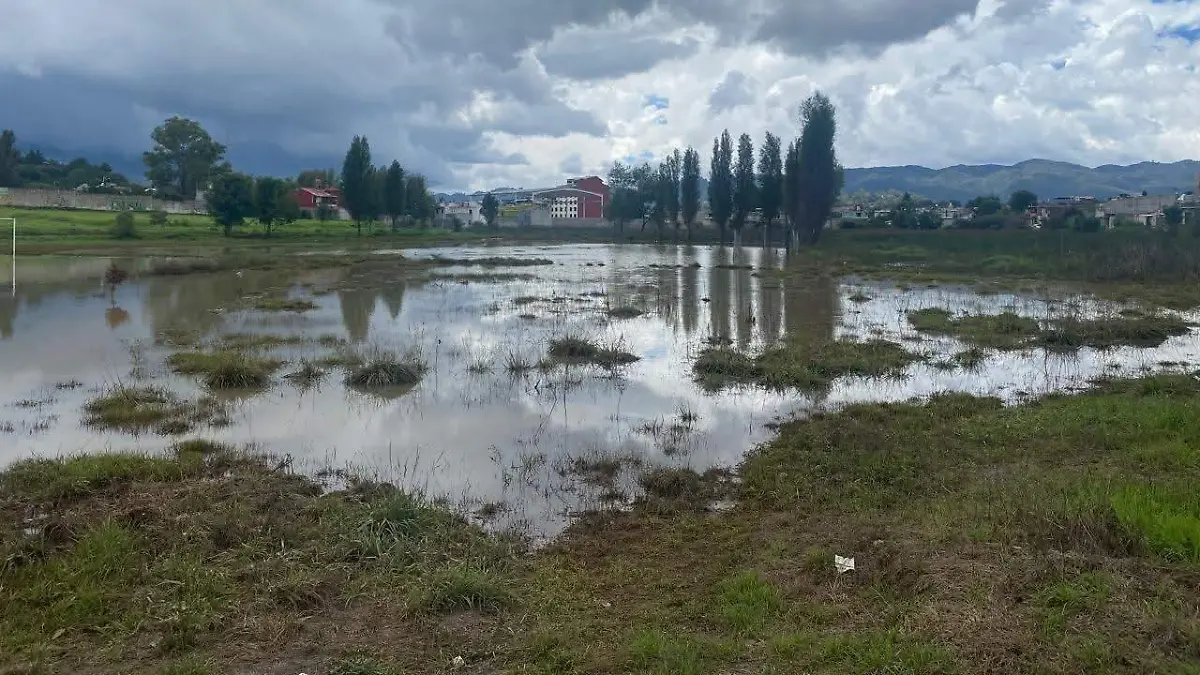 WhatsApp Image 2026-02-24 at 12.57.02 (1)