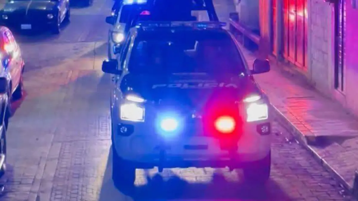 WhatsApp Image 2026-02-25 at 06.56.17