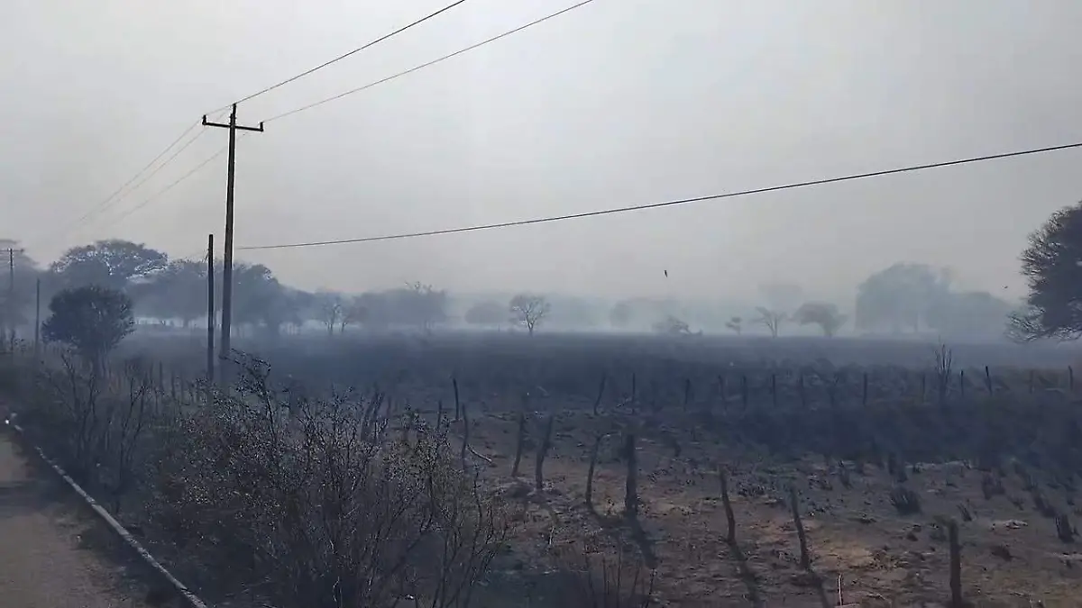 Incendio Emiliano Zapata Arriaga 