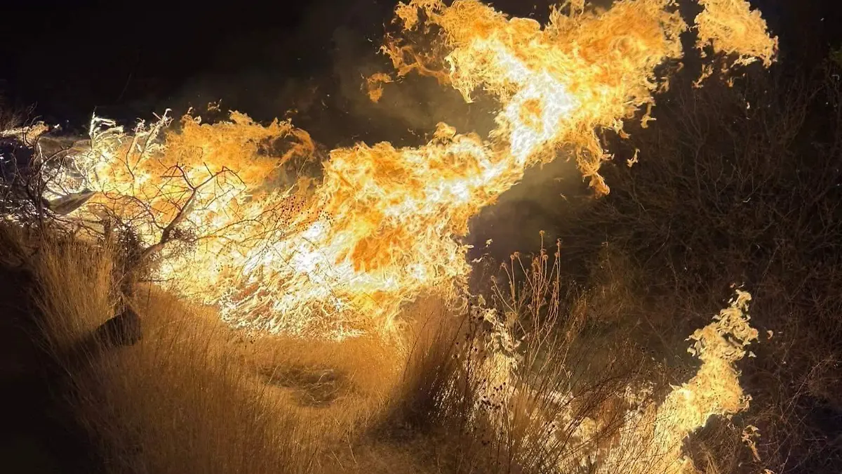 FB_IMG_1772027190734