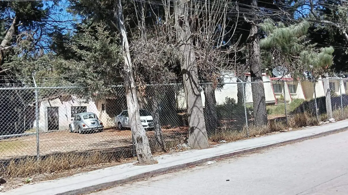 WhatsApp Image 2026-02-25 at 12.11.59 (1)