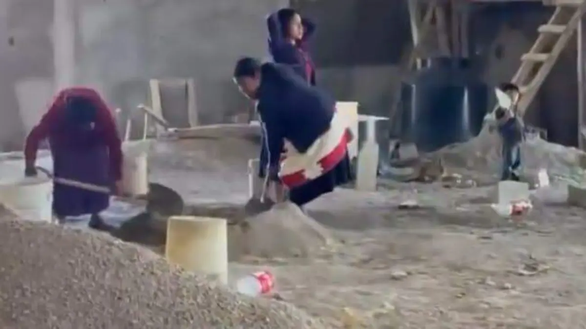 WhatsApp Image 2026-02-25 at 12.29.34