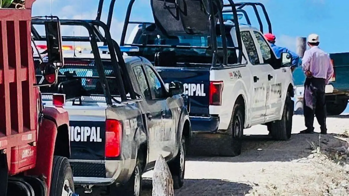 WhatsApp Image 2026-02-25 at 5.06.44 PM