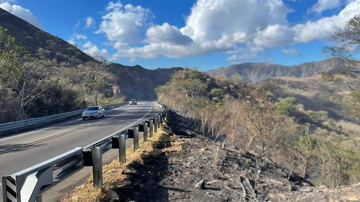 WhatsApp Image 2026-02-25 at 8.39.36 PM