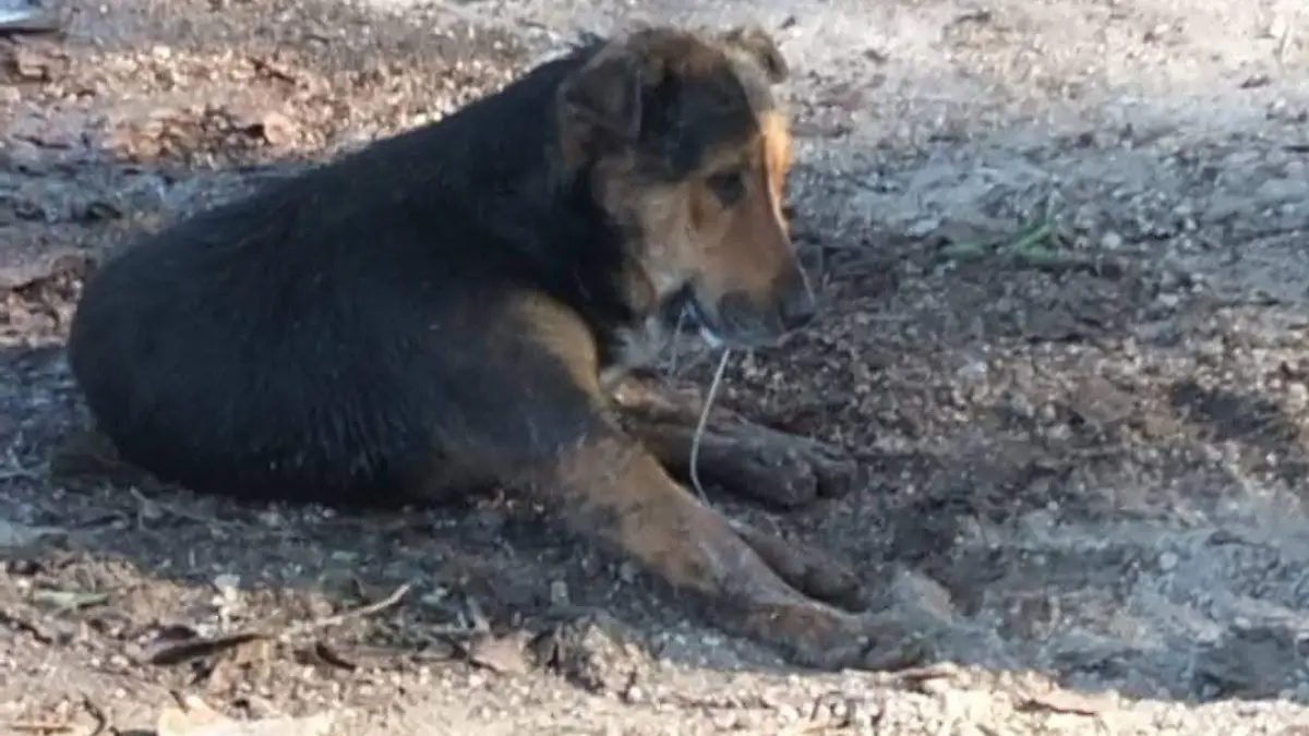 WhatsApp Image 2026-02-26 at 12.40.18