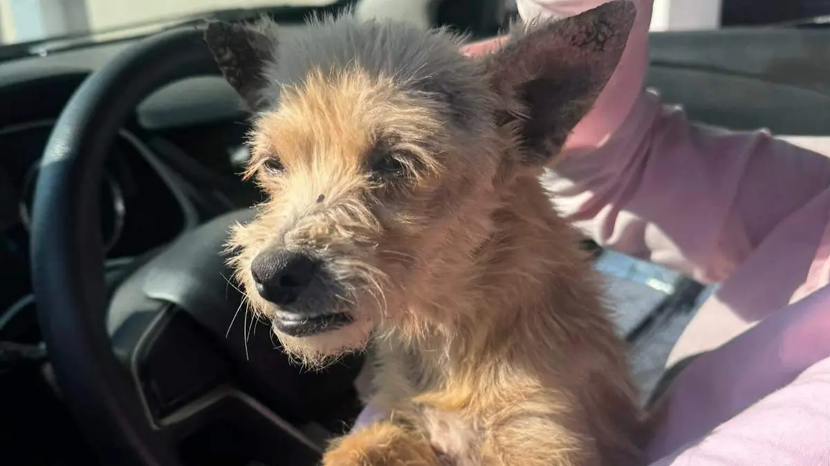 FB_IMG_1772143663819