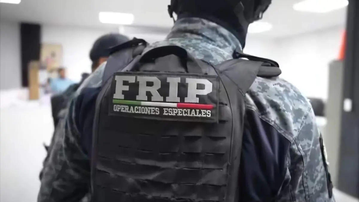 WhatsApp Image 2026-02-26 at 15.14.37