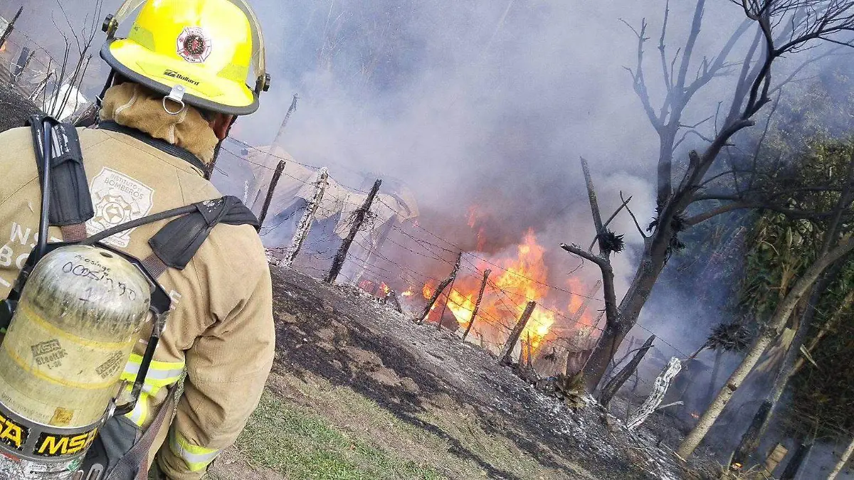 WhatsApp Image 2026-02-28 at 13.22.41