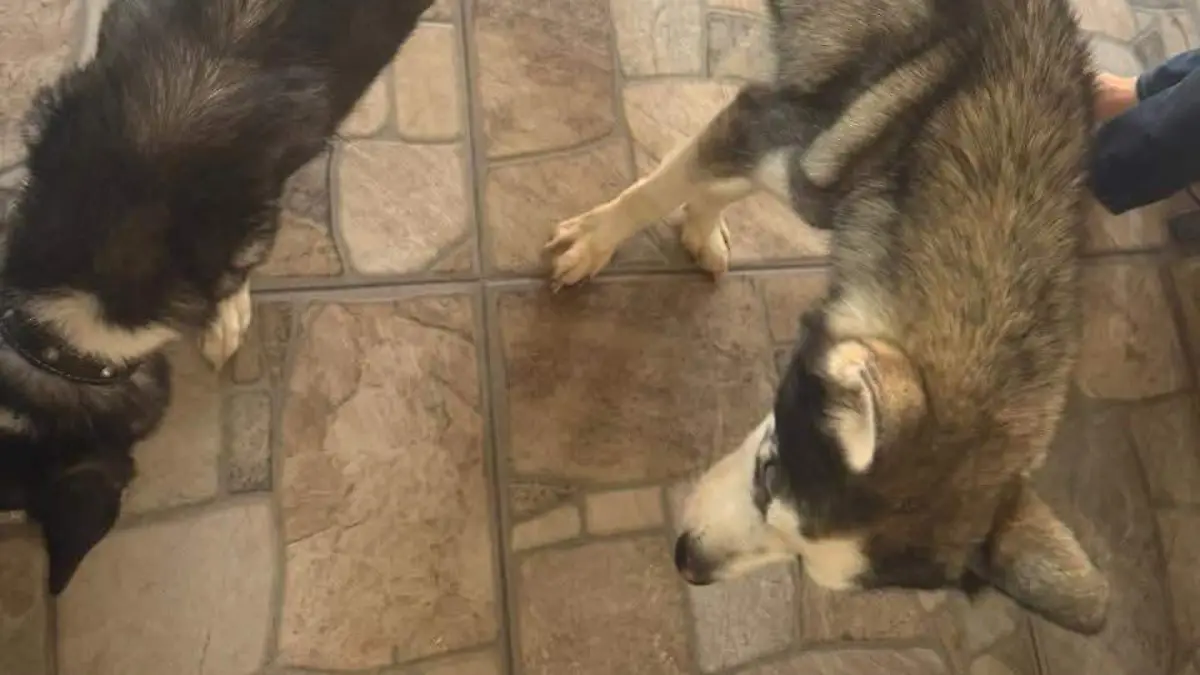 FB_IMG_1772383150122