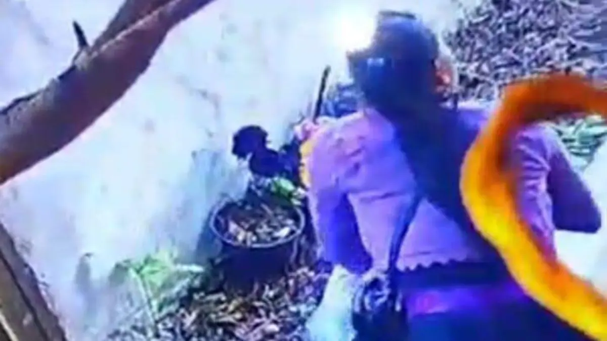 WhatsApp Image 2026-03-01 at 15.24.06