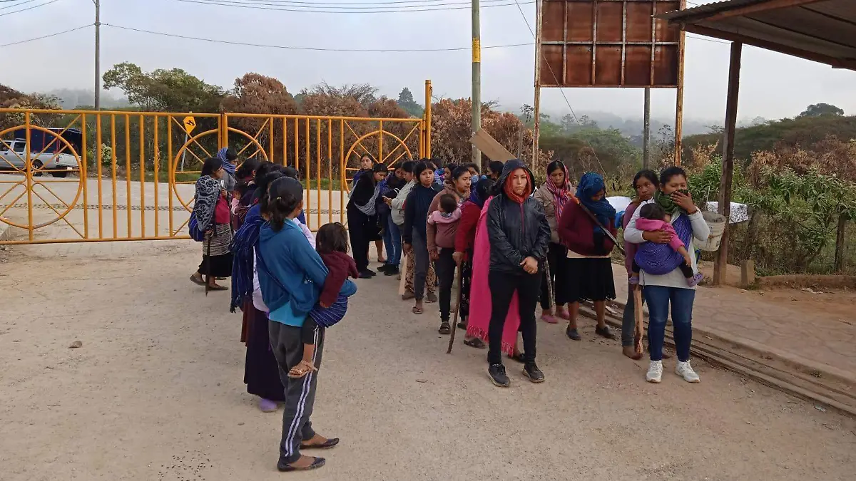 WhatsApp Image 2026-03-02 at 10.21.46 AM (3)