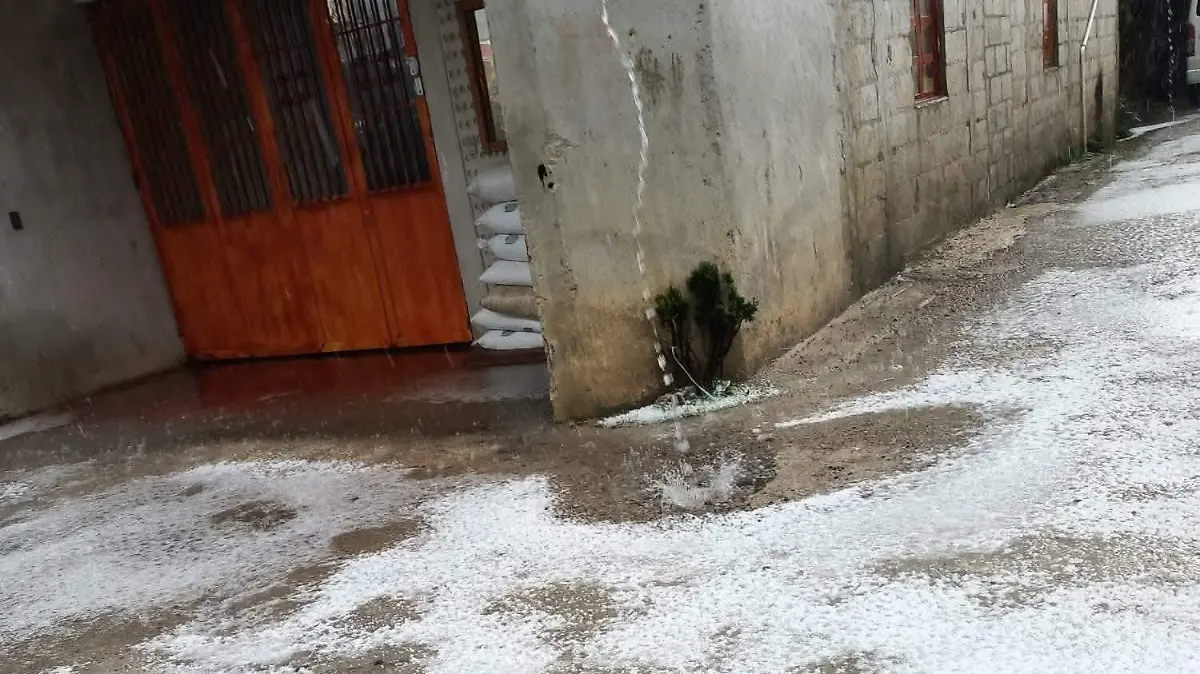 WhatsApp Image 2026-03-02 at 18.04.37