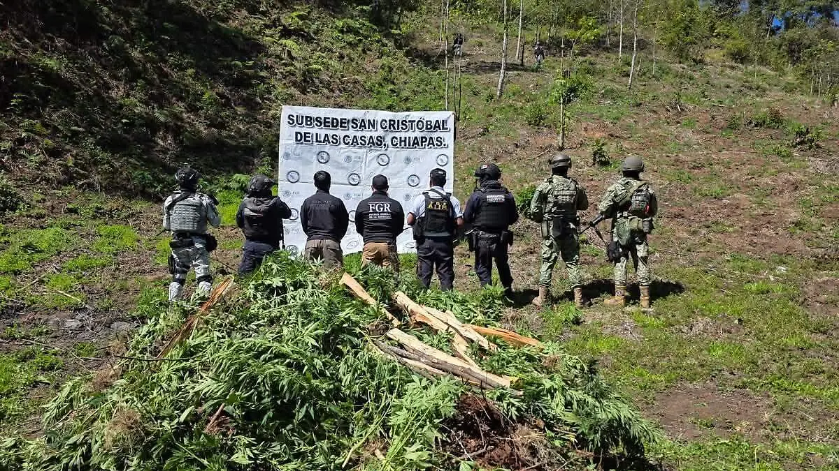 WhatsApp Image 2026-03-03 at 7.08.05 AM (2)