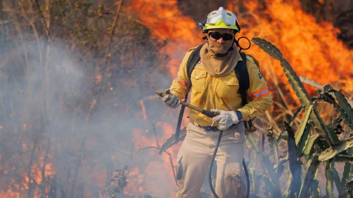 Incendios forestales Chiapas Protección Civil