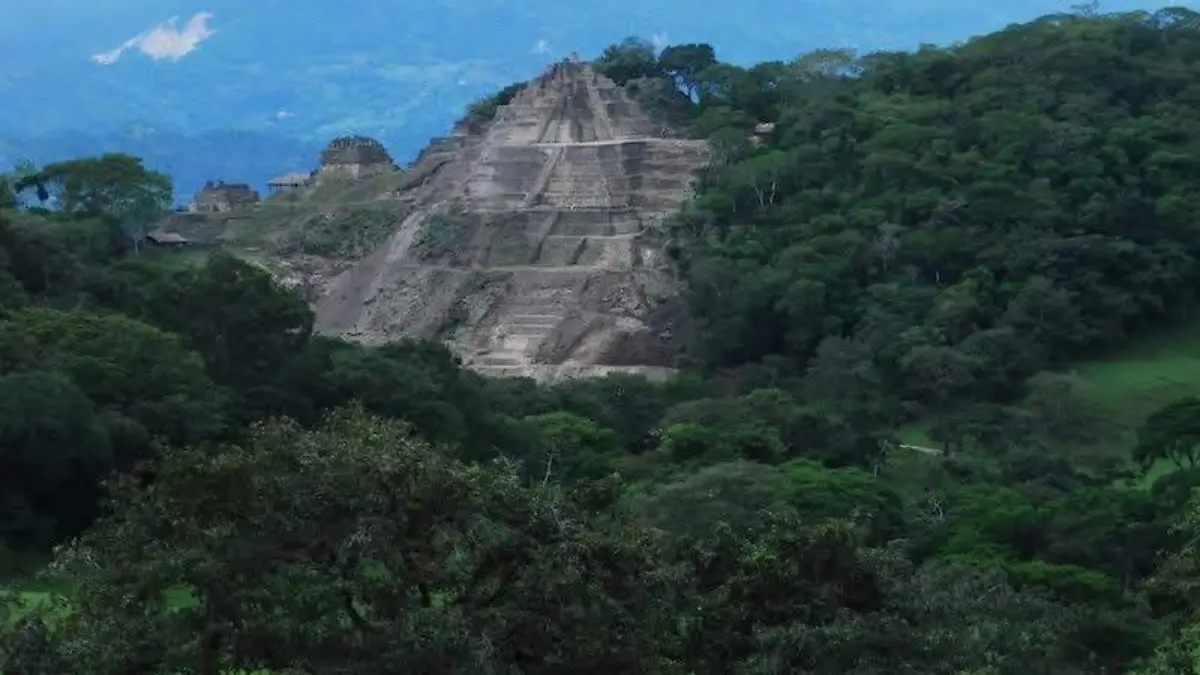 WhatsApp Image 2026-03-03 at 16.29.16