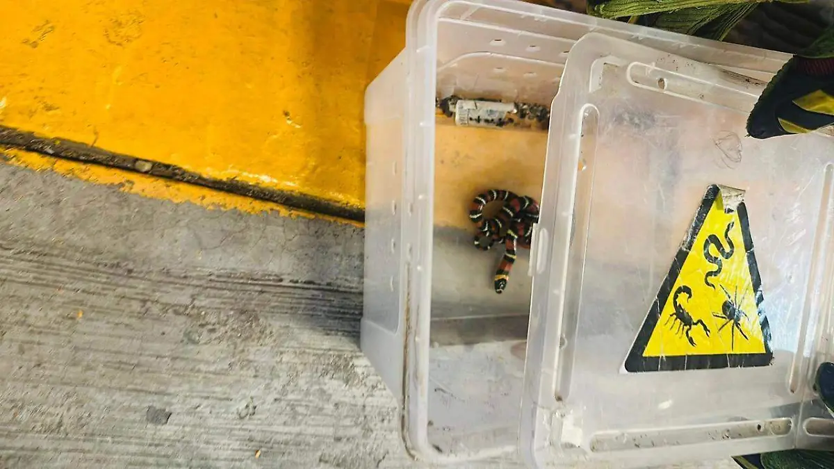 WhatsApp Image 2026-03-03 at 16.58.24