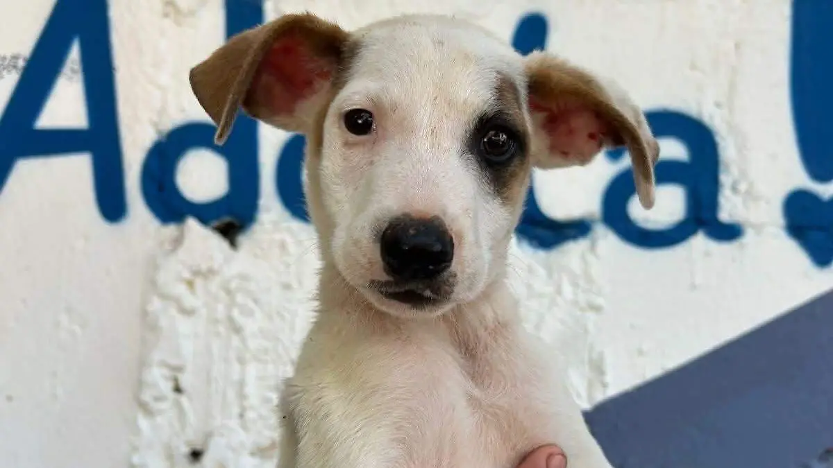 FB_IMG_1772580328918