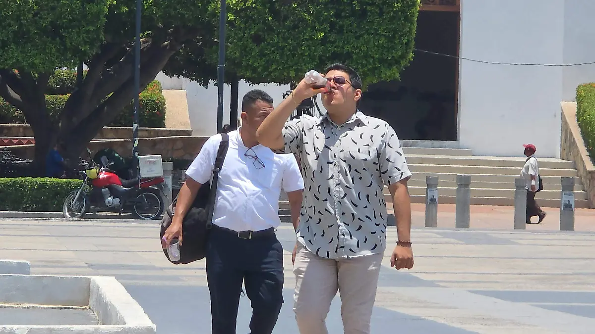 hábitos alimenticios 