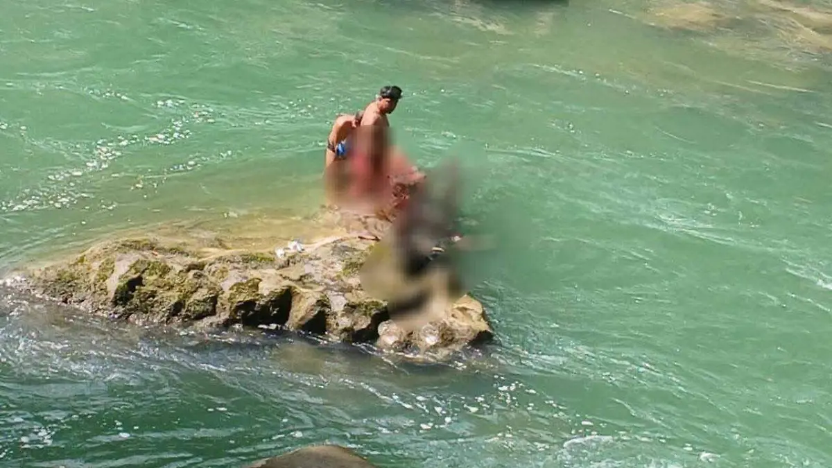 WhatsApp Image 2026-03-03 at 19.07.25 (1)