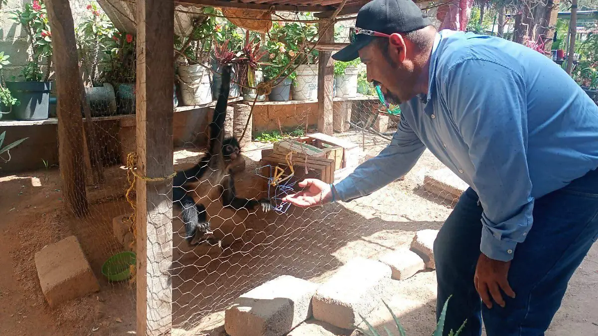 WhatsApp Image 2026-03-04 at 18.20.14