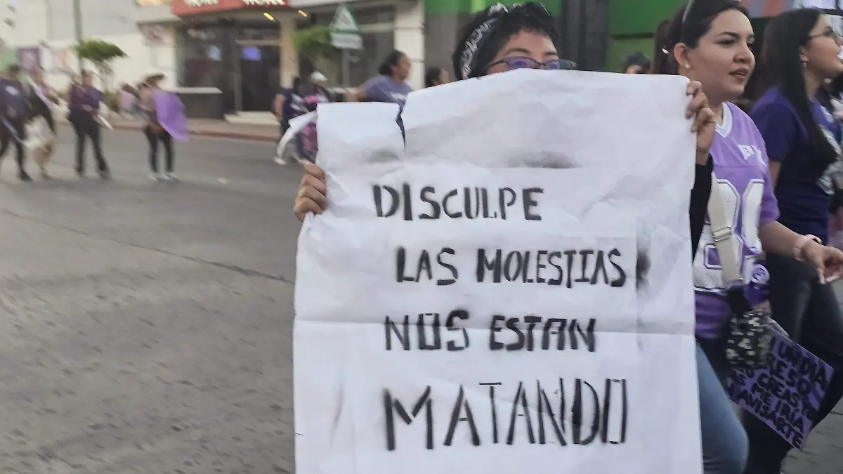 cartel de la marcha 8M