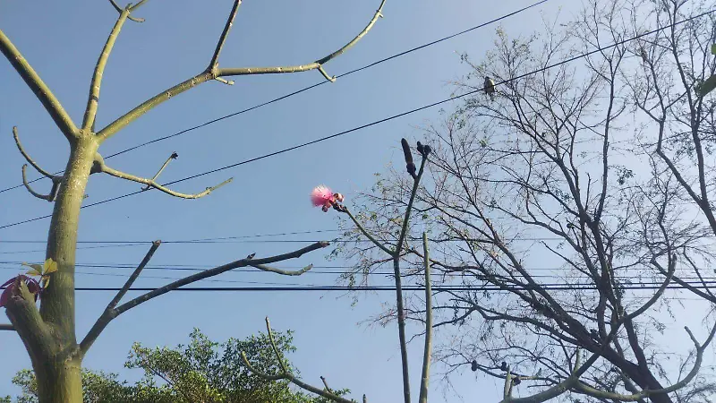 No bajan las temperaturas en la Costa de Chiapas 