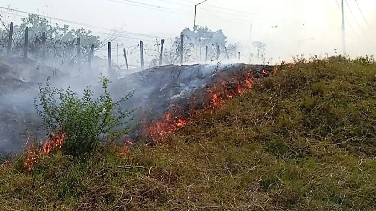 WhatsApp Image 2026-03-06 at 8.55.52 AM