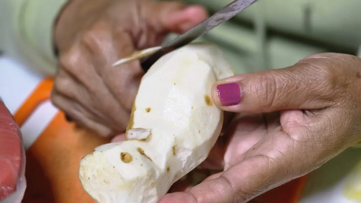 Cueza raiz del chayote