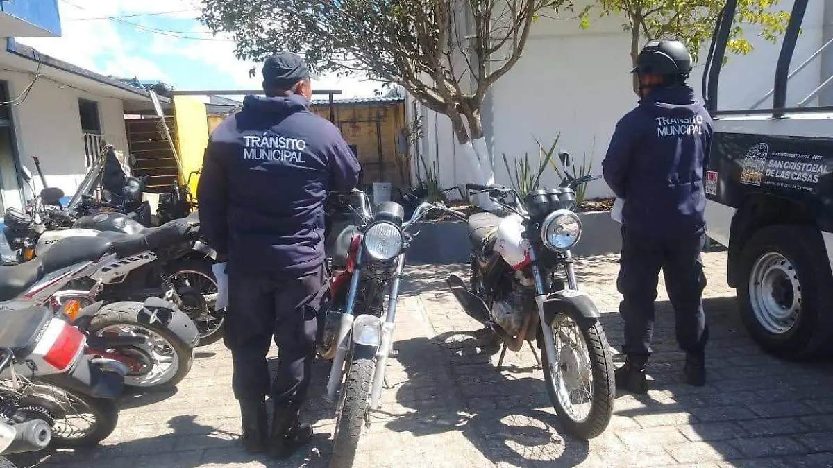 WhatsApp Image 2026-03-08 at 9.55.47 AM