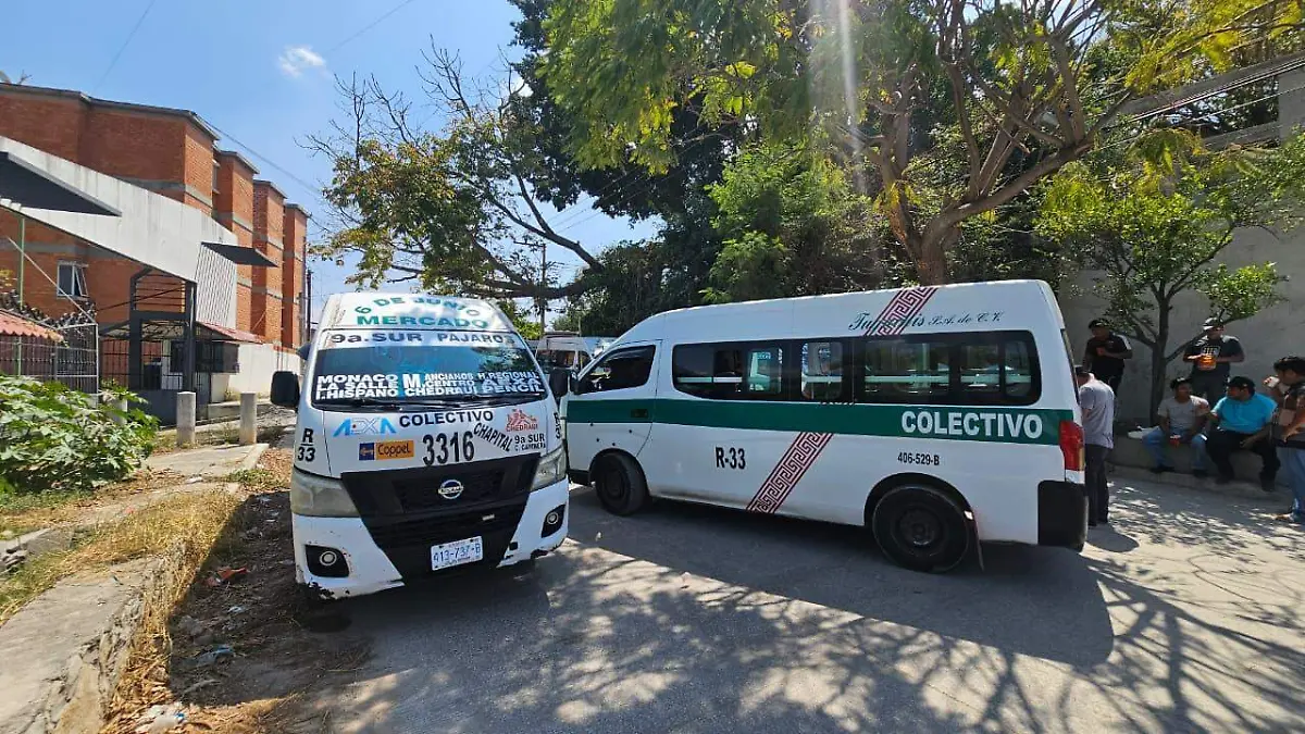 WhatsApp Image 2026-03-09 at 15.55.46 (1)