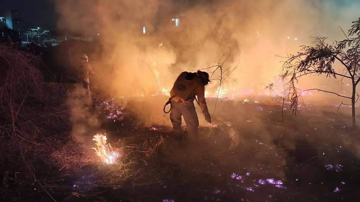 WhatsApp Image 2026-03-09 at 7.59.31 PM (1)