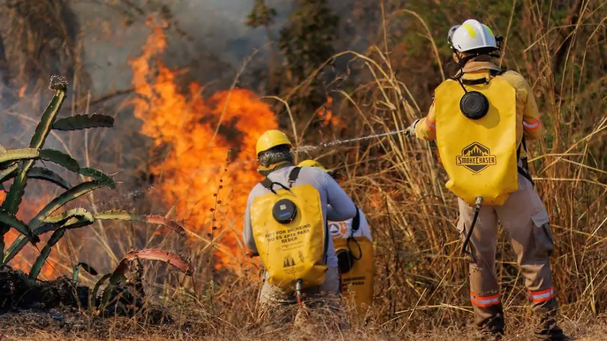 WhatsApp Image 2026-03-10 at 4.08.28 PM