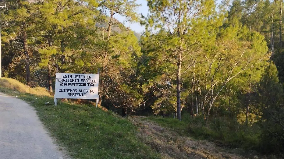 WhatsApp Image 2026-03-11 at 14.43.34