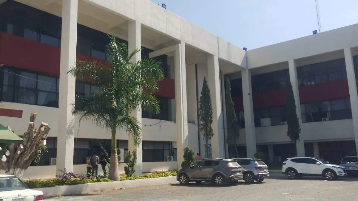 WhatsApp Image 2026-03-11 at 12.00.55