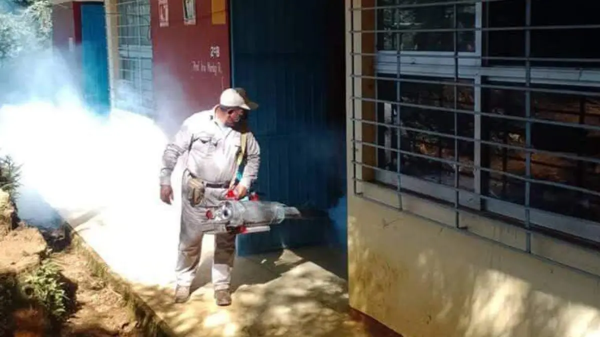 WhatsApp Image 2026-03-12 at 16.52.49