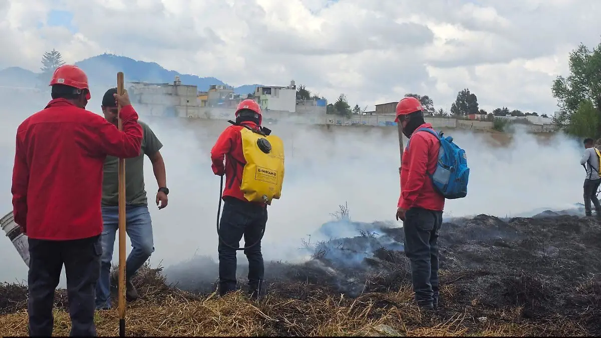 WhatsApp Image 2026-03-13 at 6.50.52 AM