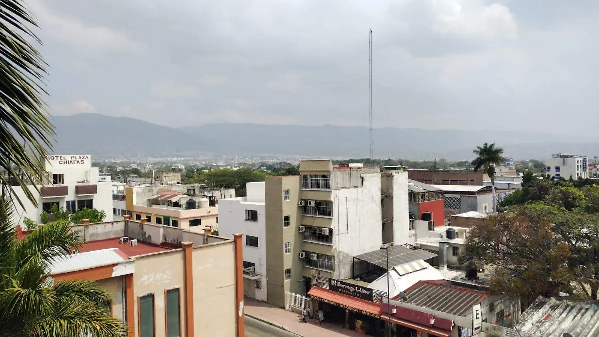 WhatsApp Image 2026-03-13 at 12.04.16 PM