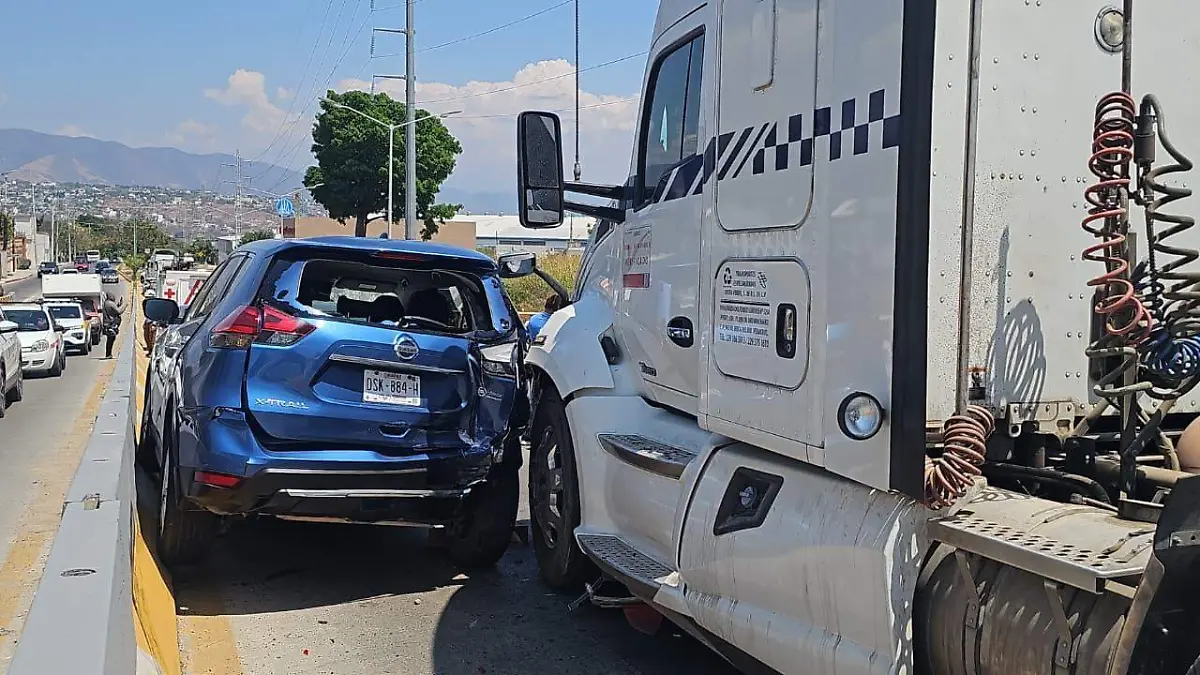 WhatsApp Image 2026-03-14 at 2.03.33 PM