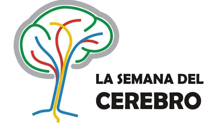 080b4dffeeea98952b99d2915da0b69c_XL