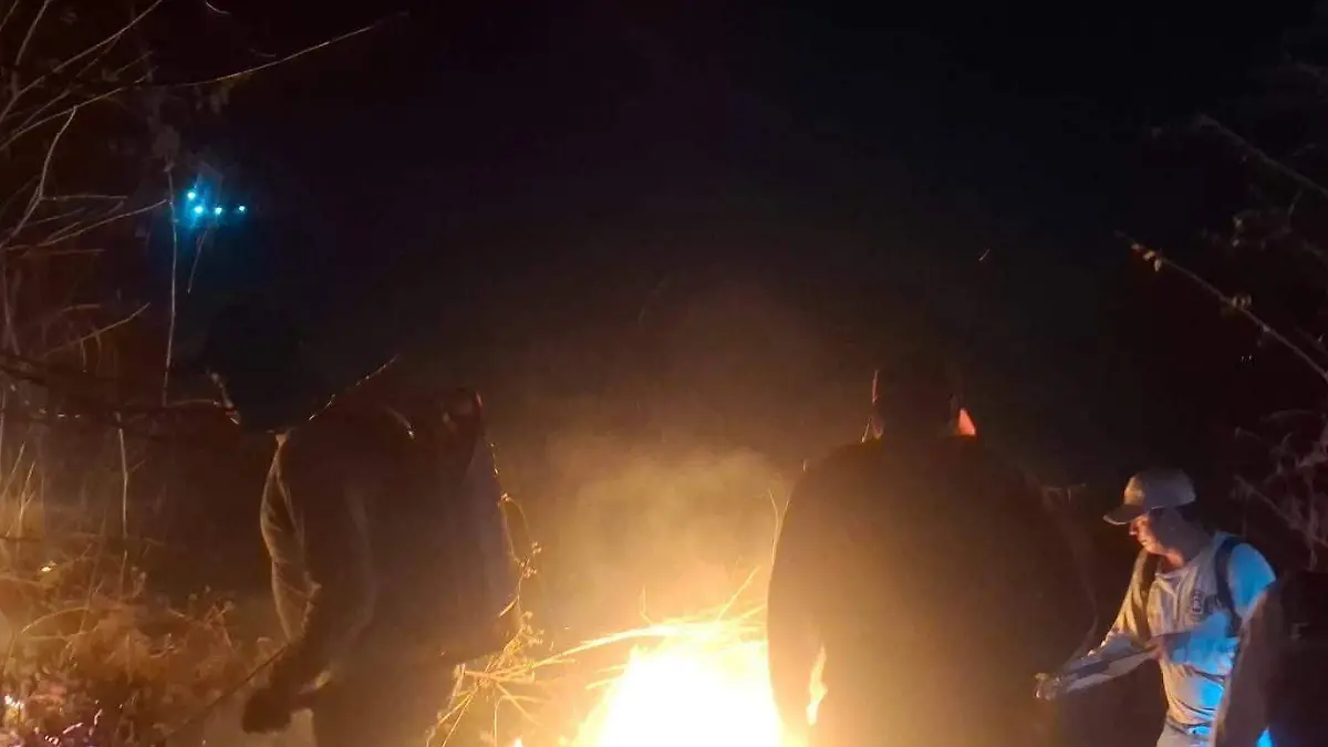 WhatsApp Image 2026-03-15 at 6.50.13 AM (1)