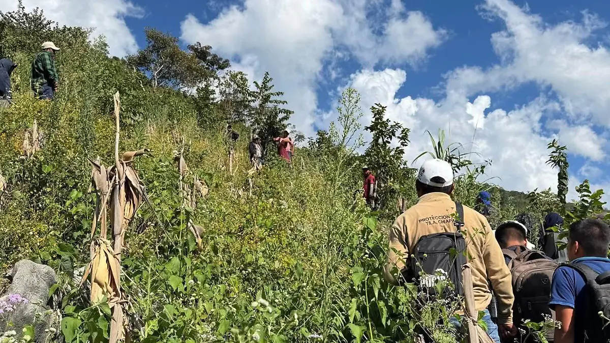 WhatsApp Image 2026-03-15 at 10.04.16 AM