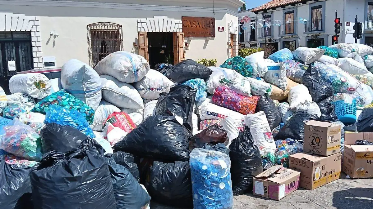 WhatsApp Image 2026-03-15 at 11.00.28 AM