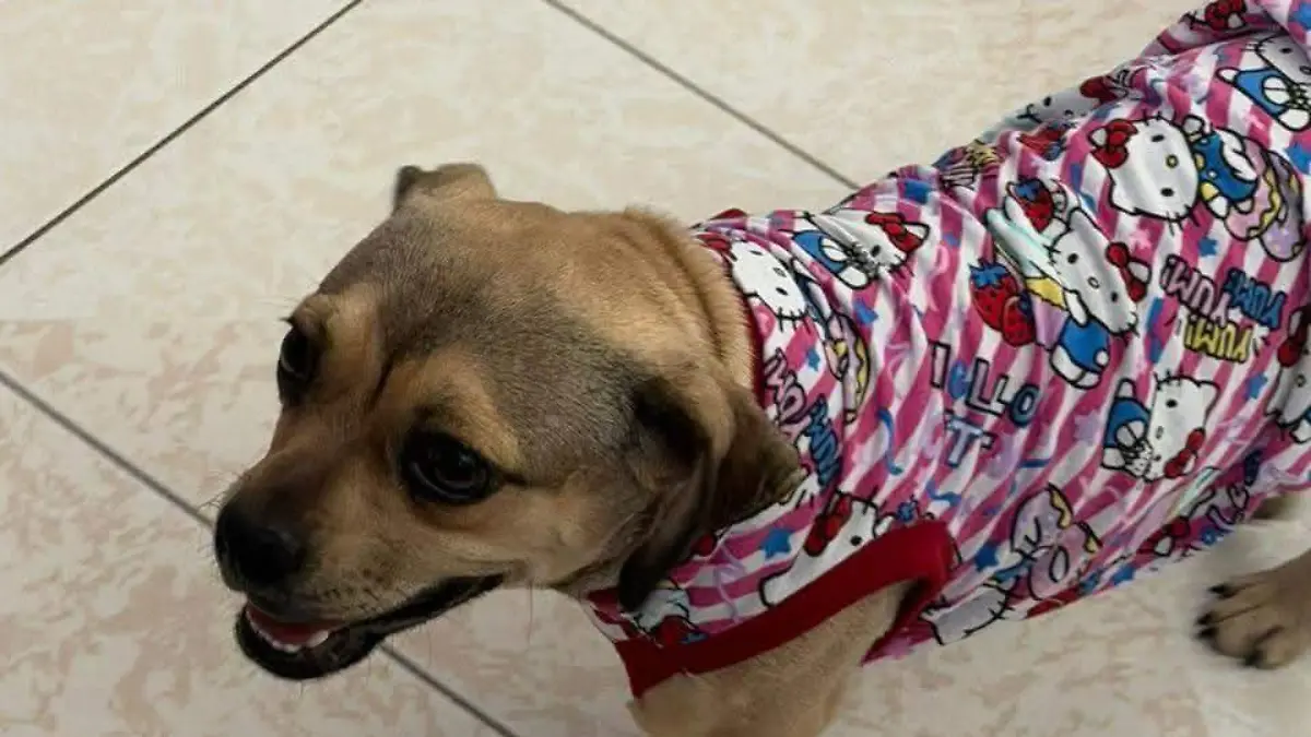 FB_IMG_1773600456158