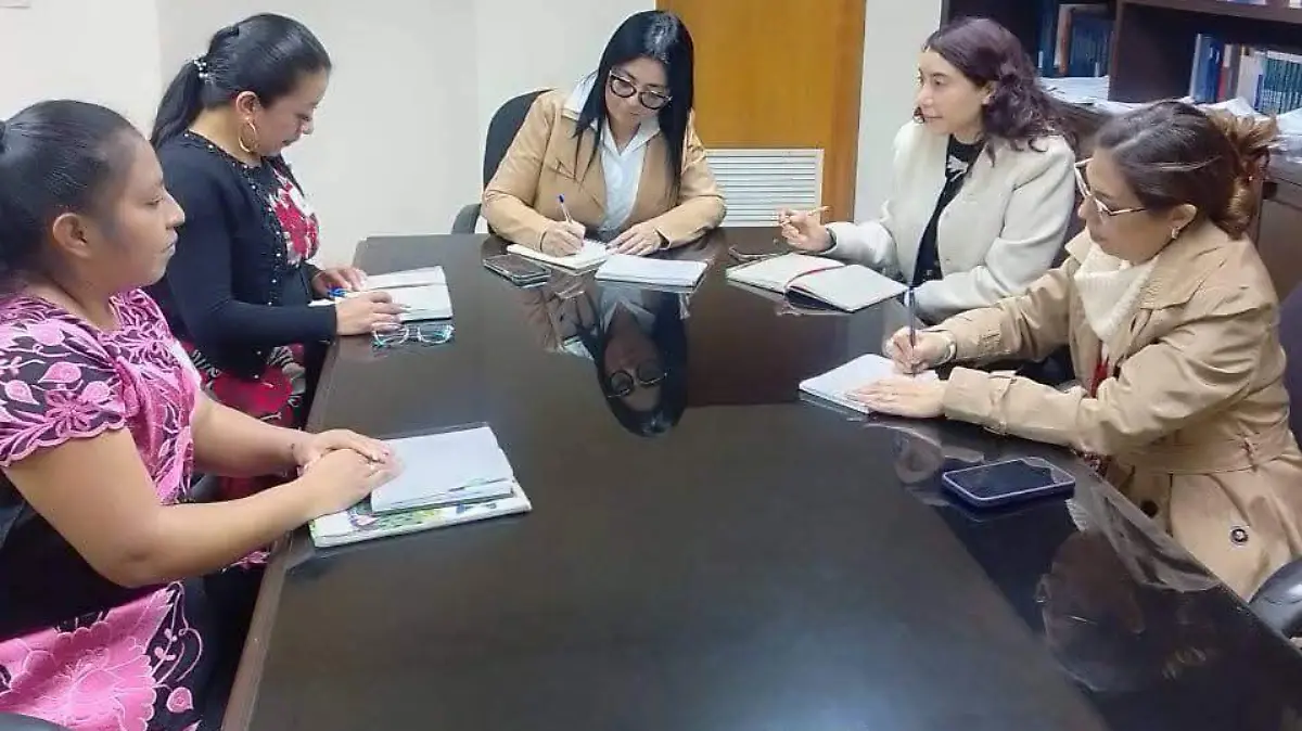 Violencia hacia las mujeres en Chiapas 