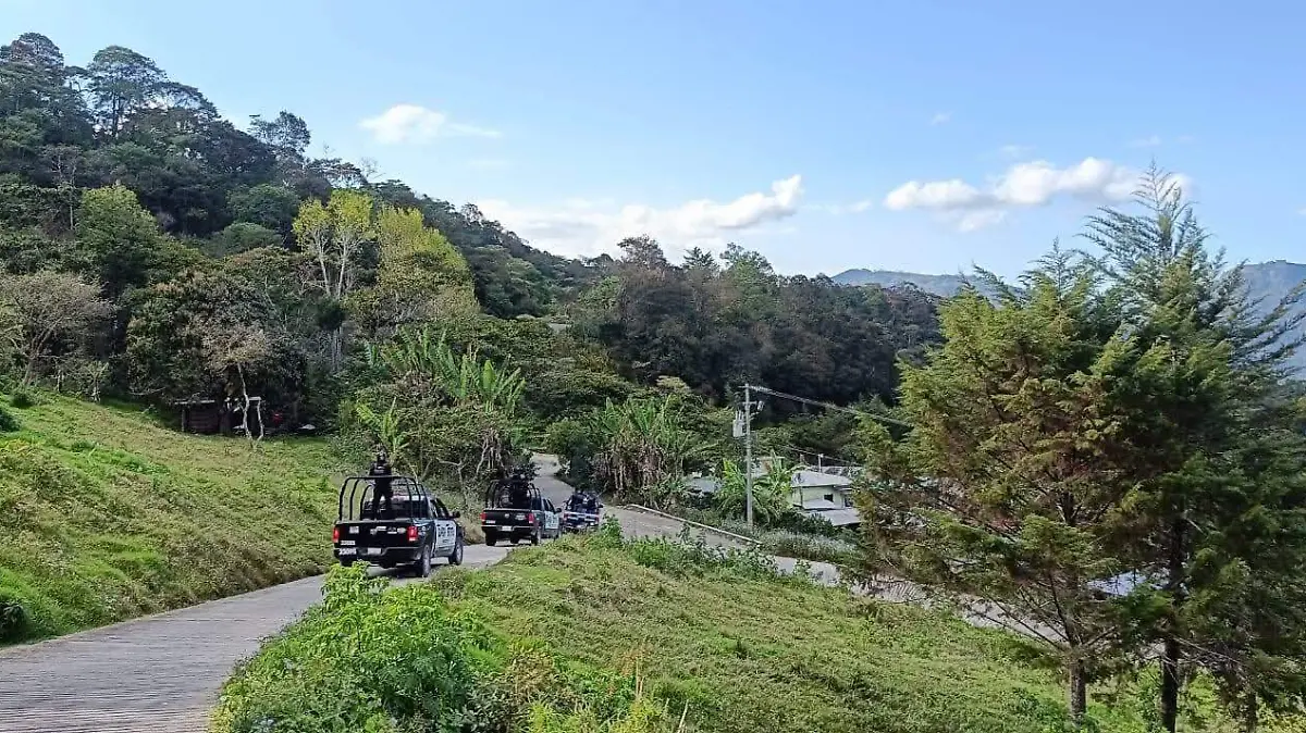 WhatsApp Image 2026-03-16 at 10.09.30 AM